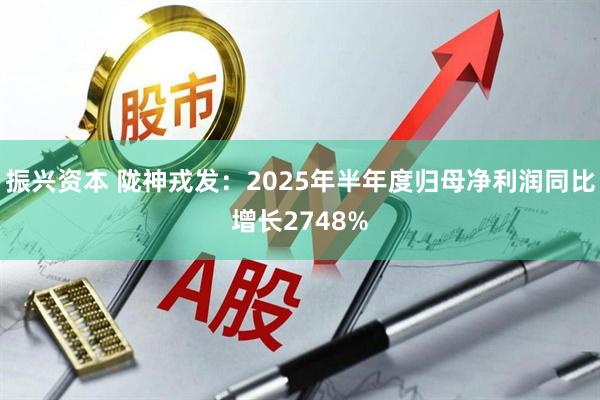 振兴资本 陇神戎发:2025年半年度归母净利润同比增长2748%
